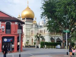 Kampong Glam Conservation Area (D7), Shop House #455541571